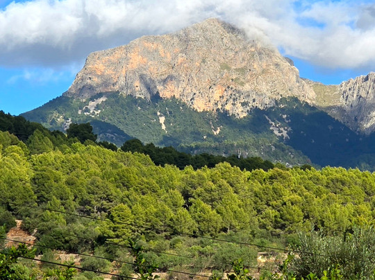 Lemon Tours-马洛卡帕尔马必去景点