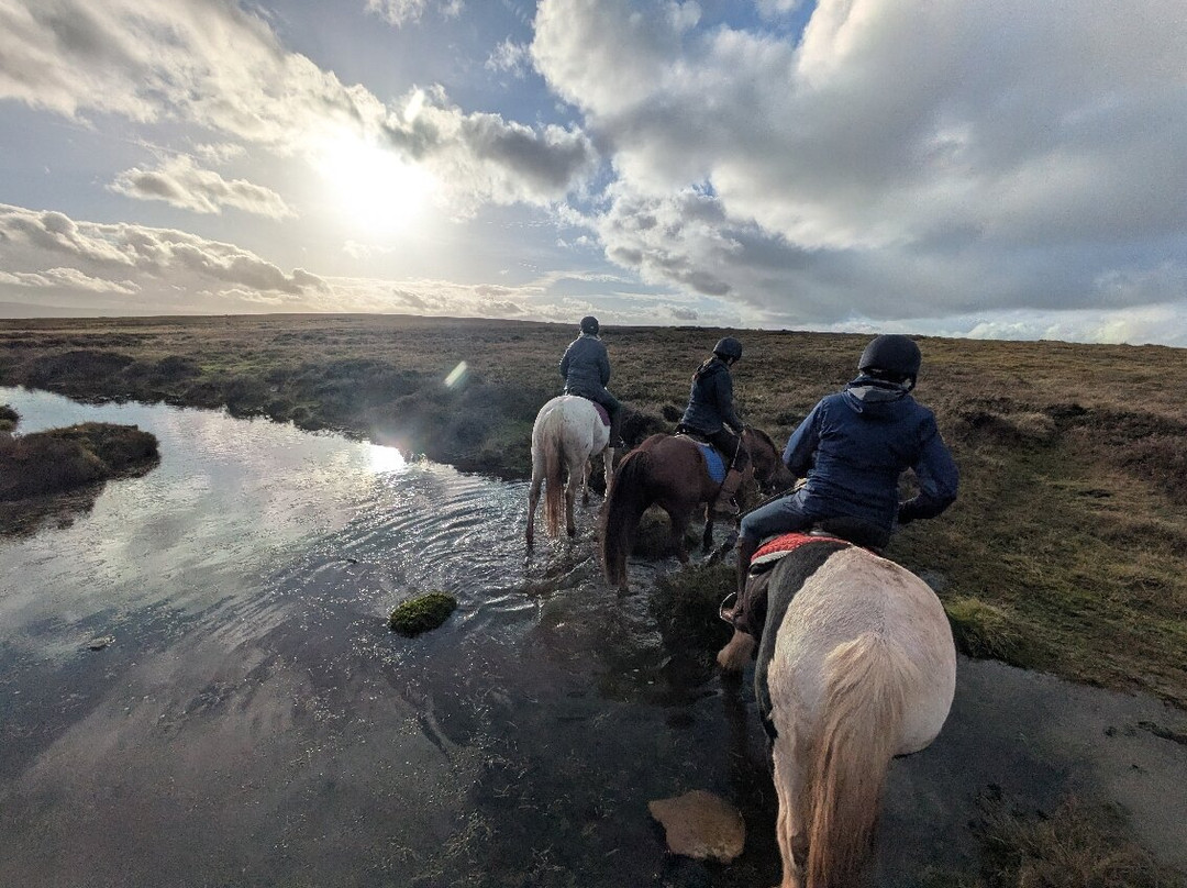 Llangorse Multi Activity Centre-Llangorse必去景点