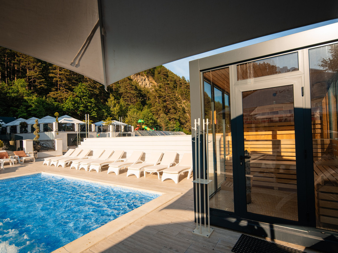 Carpentiere Arena主图