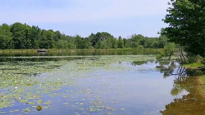 Walter C. Best Wildlife Preserve-Chardon必去景点