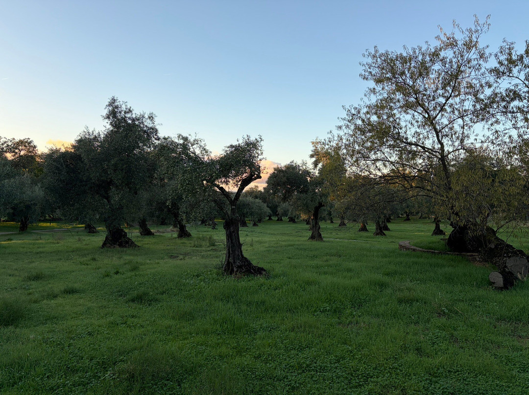 Finca El Azahar主图