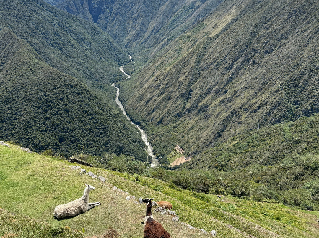 Peru Treks & Inca Trail-库斯科必去景点