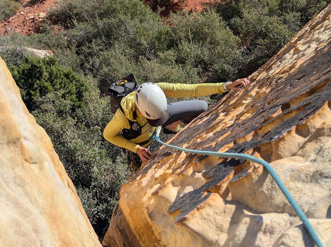 Mountain Skills Rock Guides, LLC-道师城必去景点