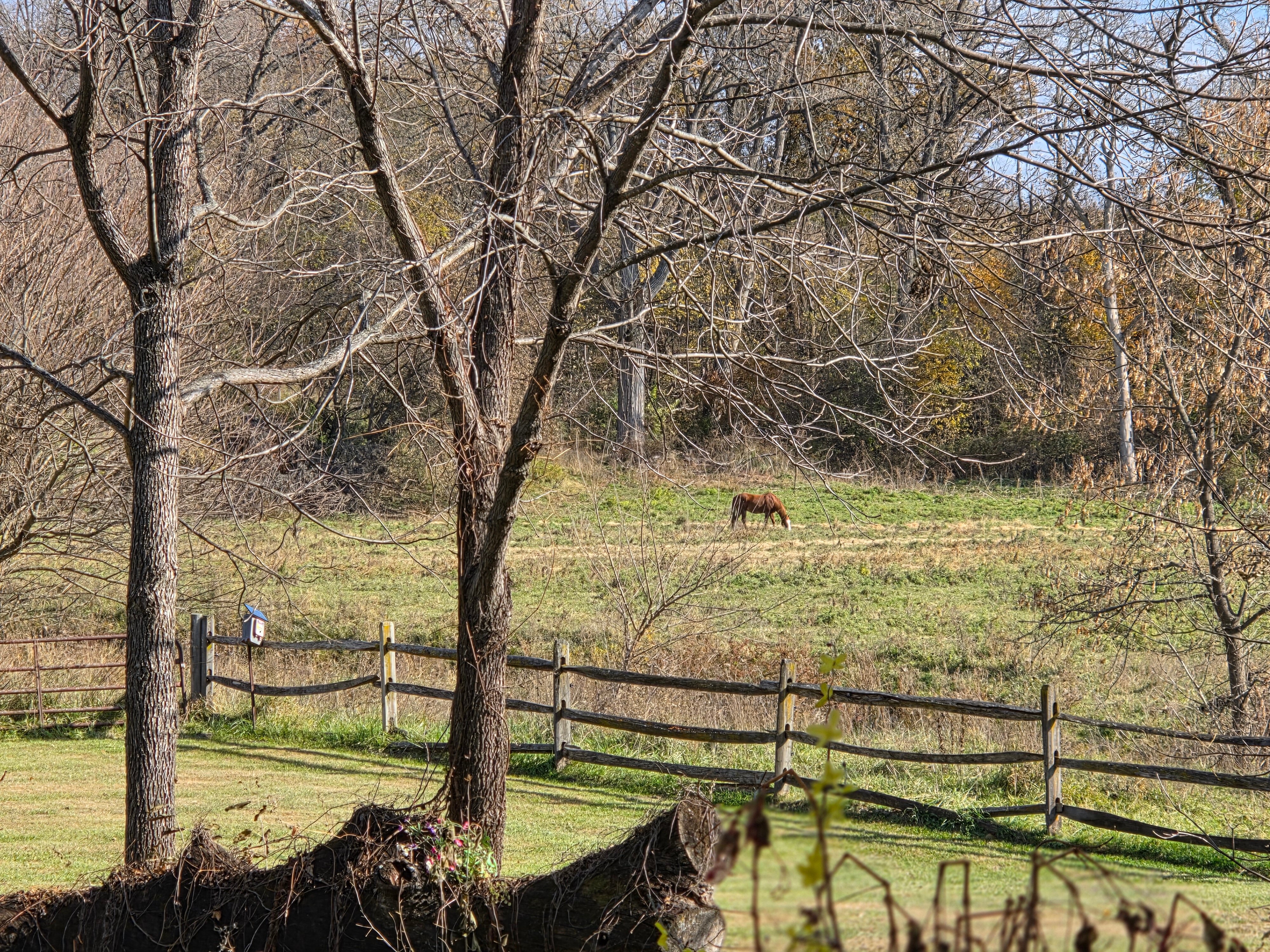 The Inn at Irish Hollow-官方