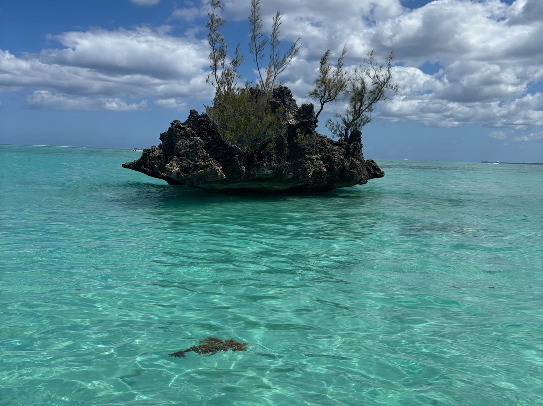 Serenity Voyages Tours-Curepipe必去景点