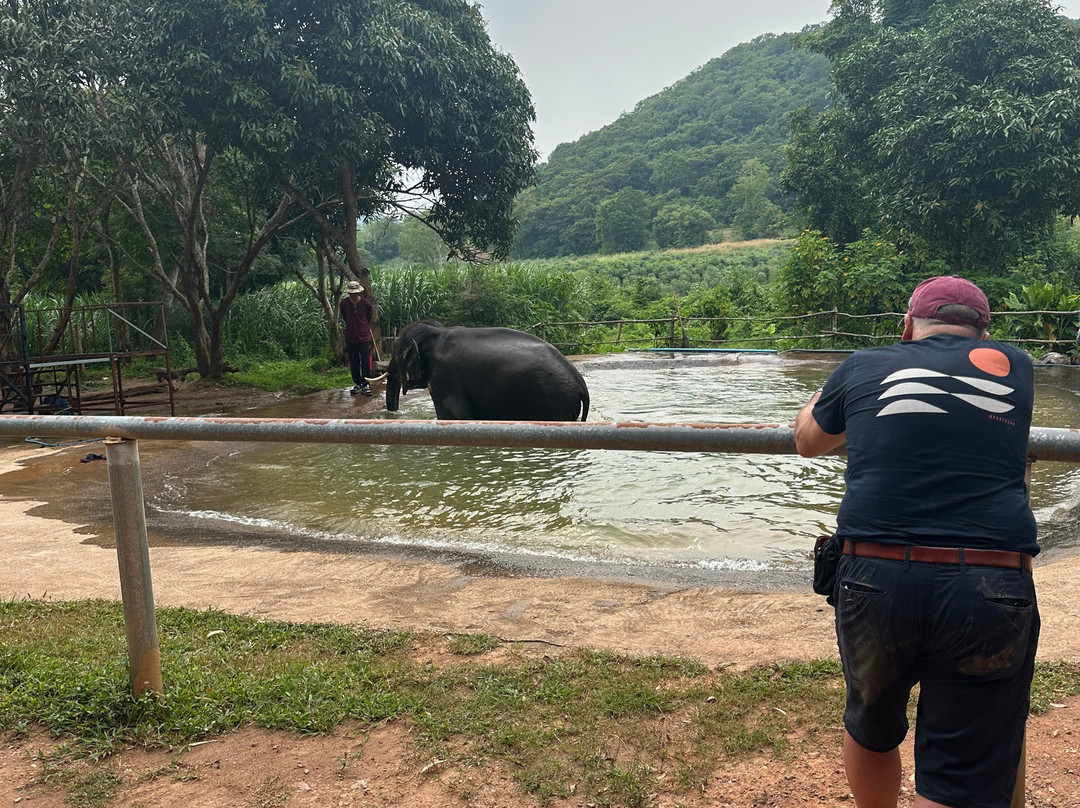 Pattaya Elephant Sanctuary-Bang Sare必去景点