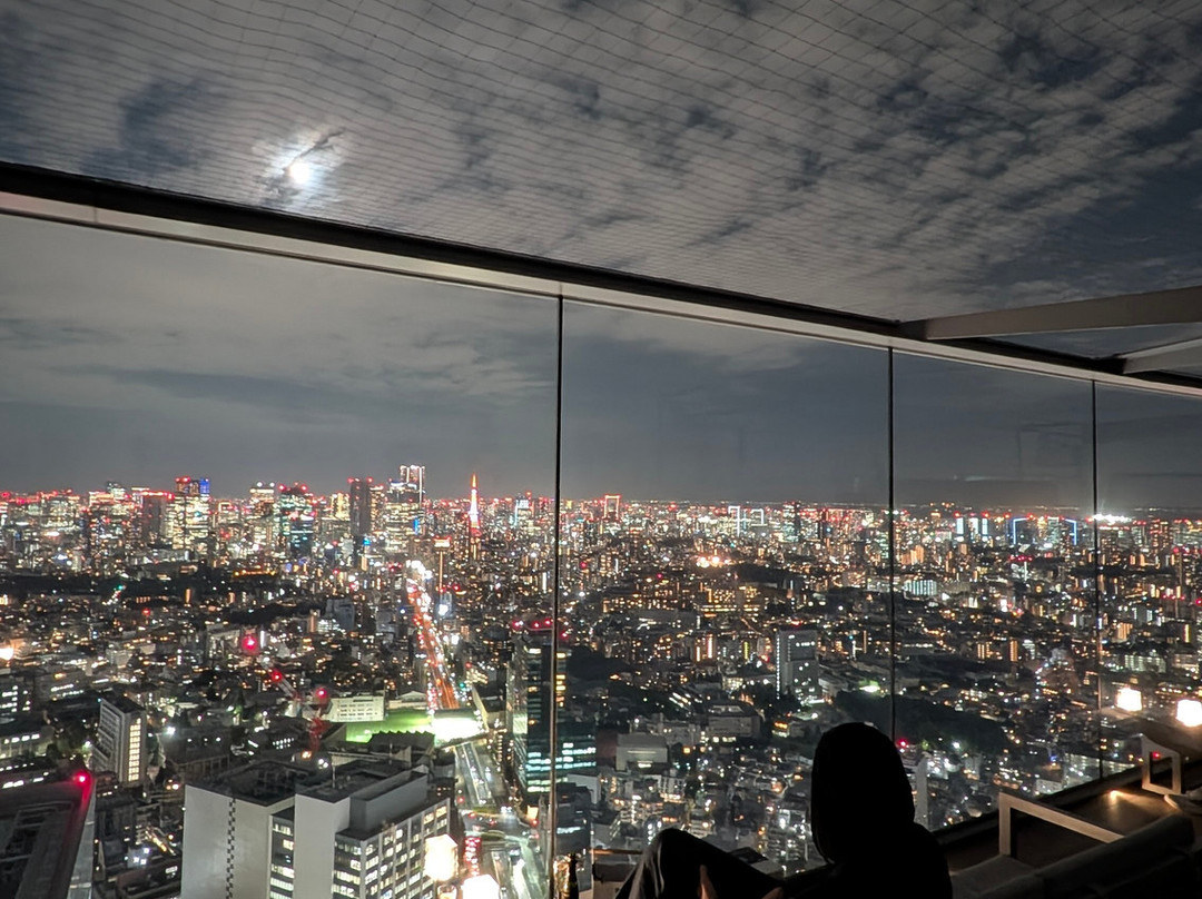 Shibuya Sky-涩谷区必去景点