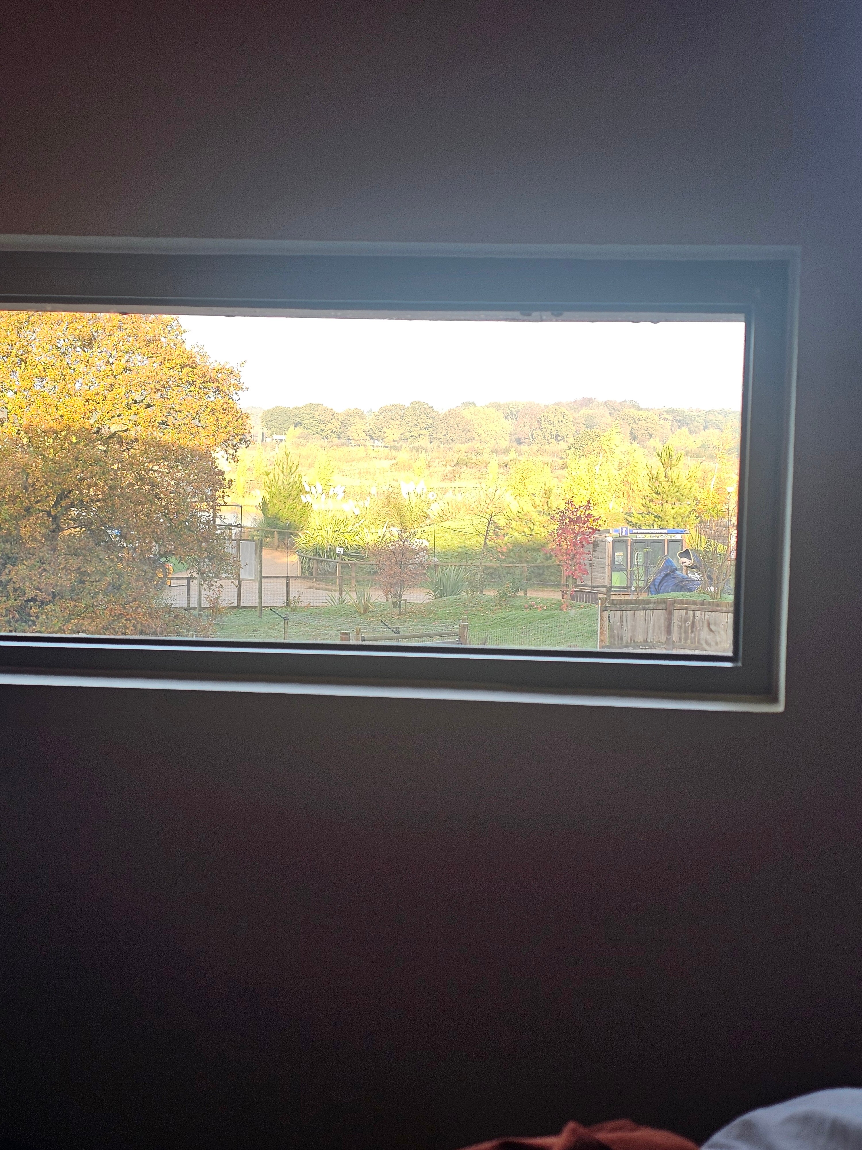 Hex Wildlife Hotel-客卧