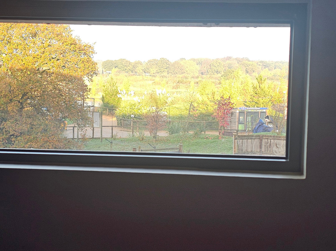 Hex Wildlife Hotel主图