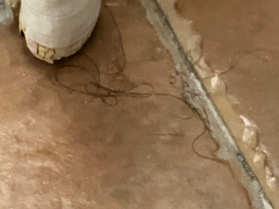 Hotel Bell Port主图