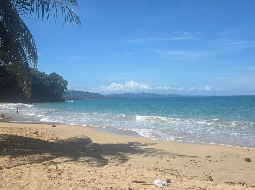 Playa Punta Uva-Punta Uva必去景点