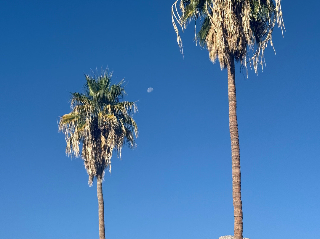 皇家太阳酒店主图