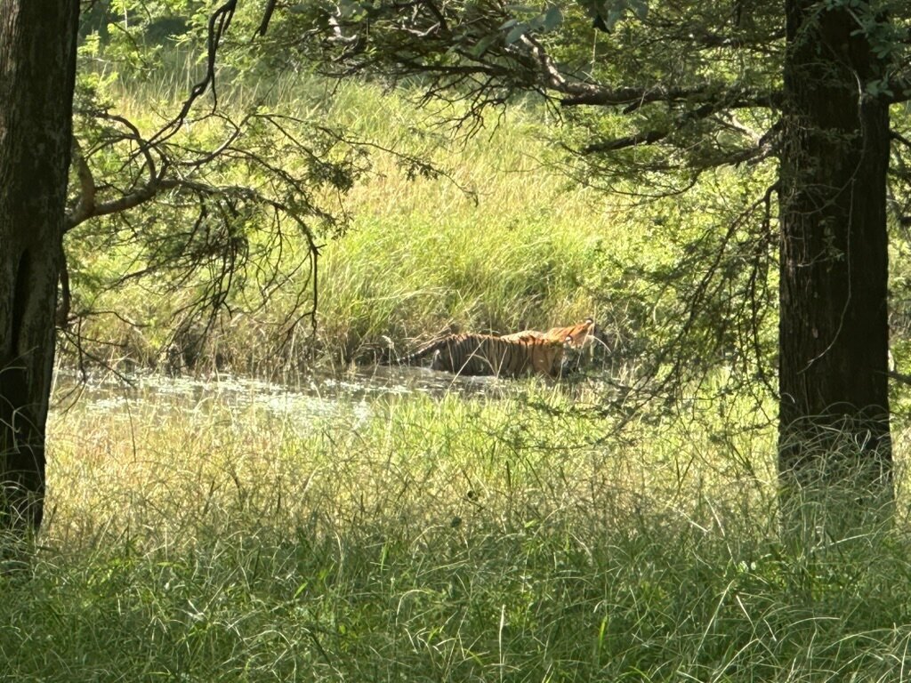 D.K. Car and Driver India-阿格拉必去景点