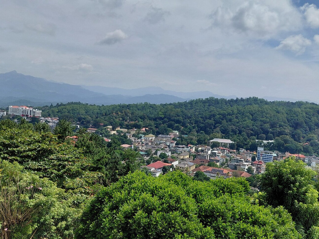 Royal Island Tours-尼甘布必去景点