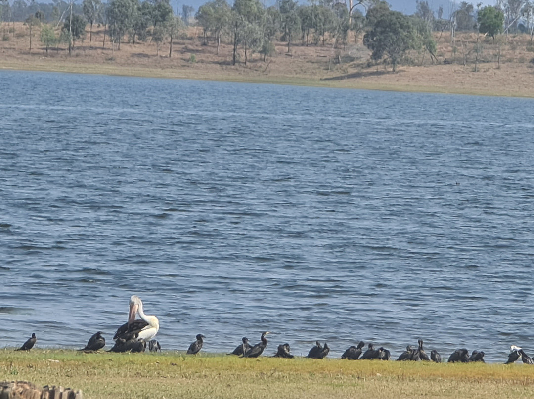 威文霍水库-布里斯班必去景点