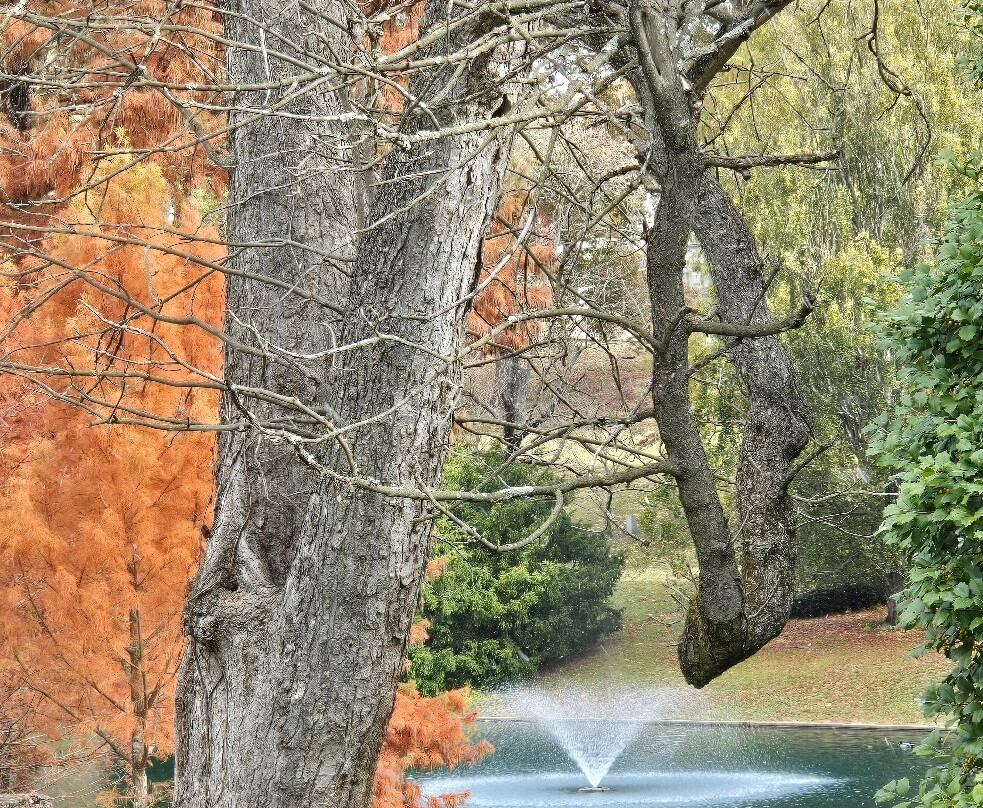 Cave Hill Cemetery-路易斯维尔必去景点