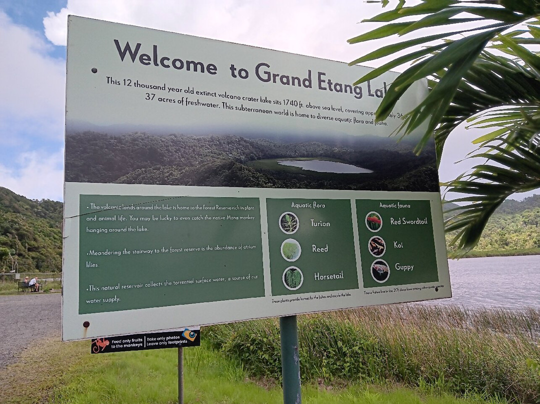 Grand Etang Lake-Grand Etang National Park必去景点