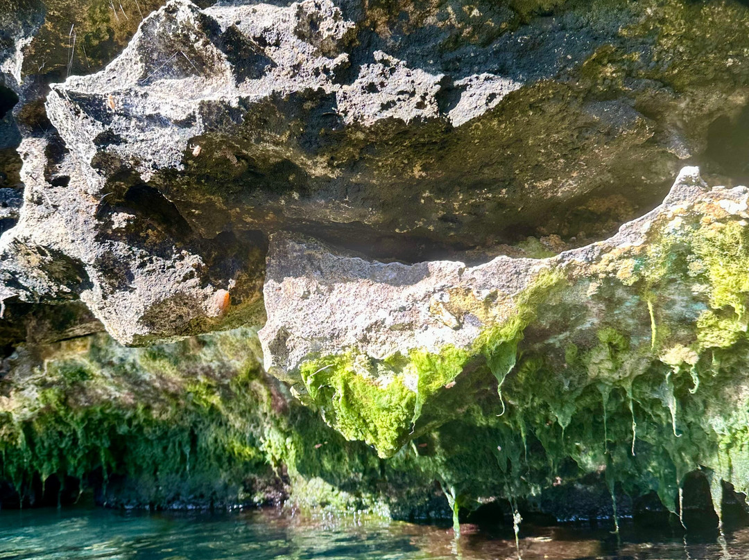 Cenote Azul-尤卡坦半岛必去景点