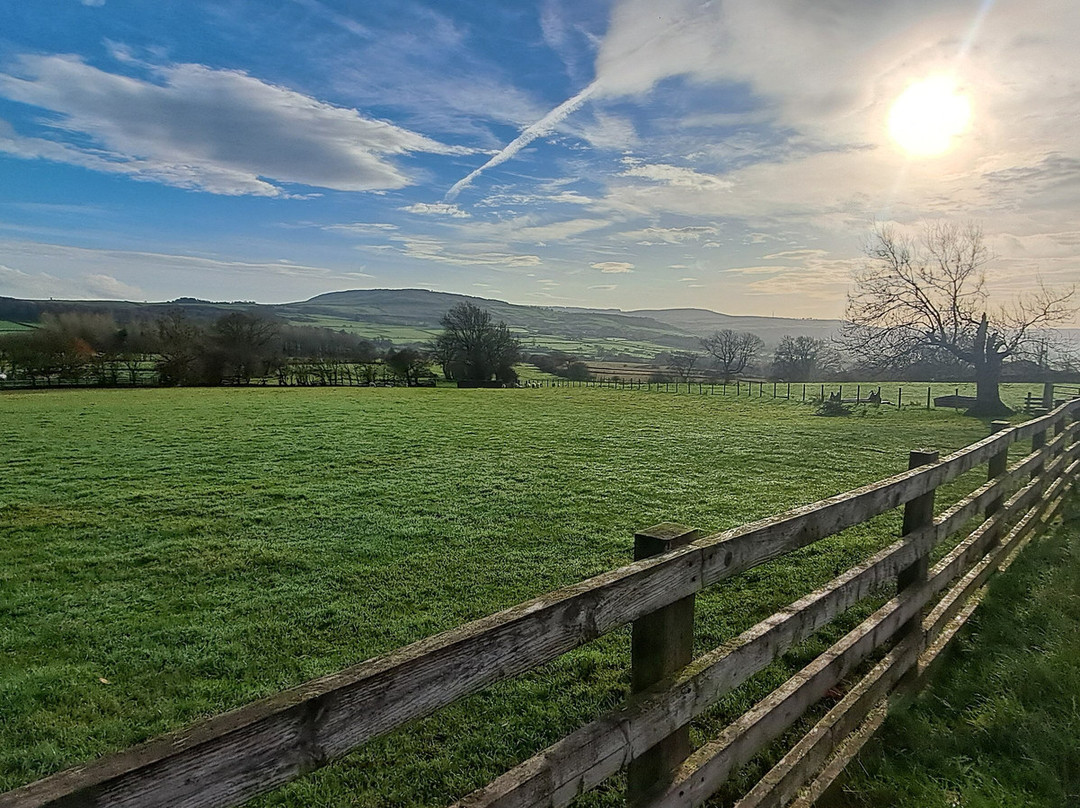 Pickersgill Manor Farm Bed and Breakfast主图