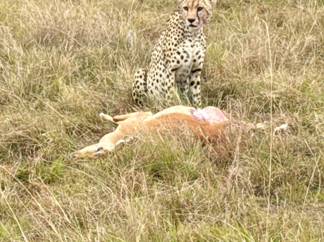 Long Way Expeditions-阿鲁沙必去景点