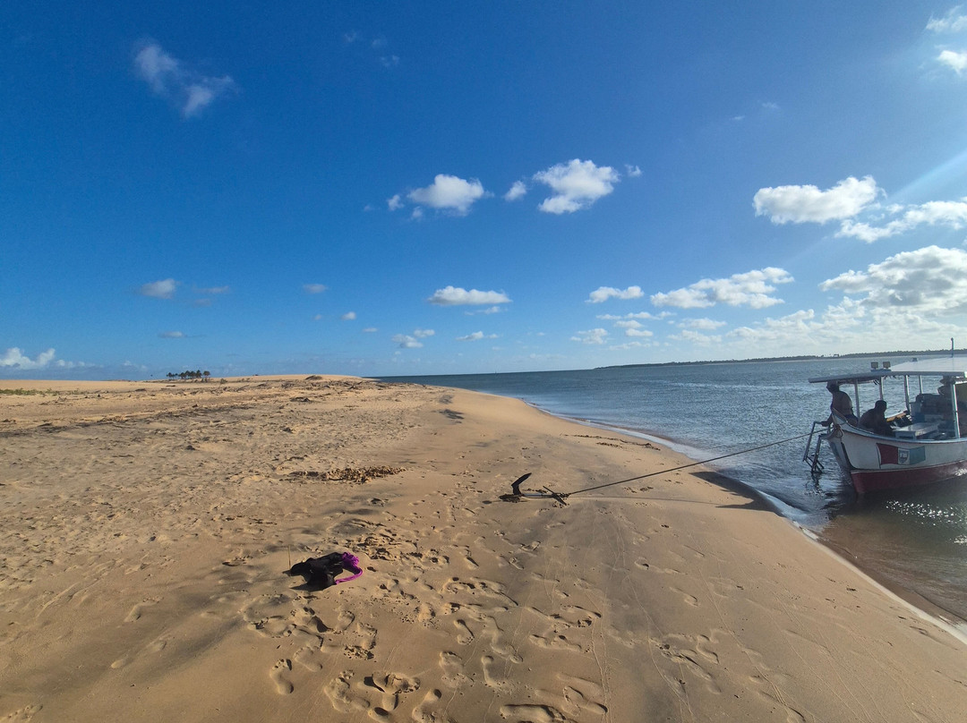 Farol da Foz Ecoturismo-Piacabucu必去景点