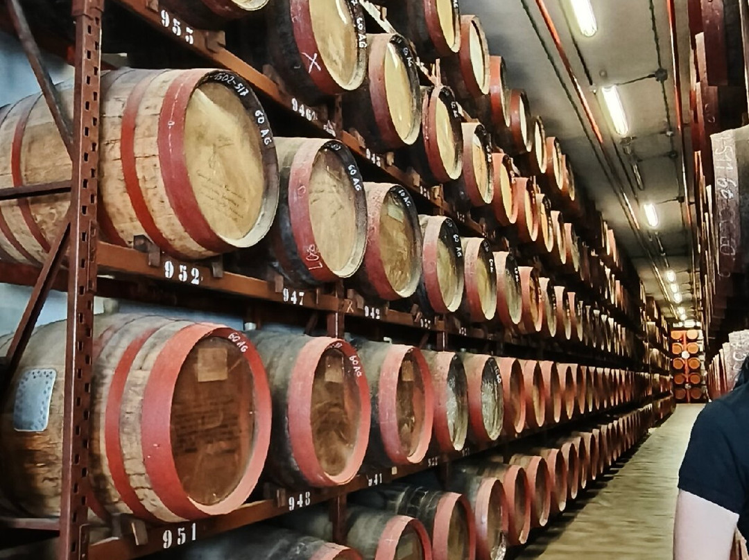 Arehucas Rum Distillery-Arucas必去景点