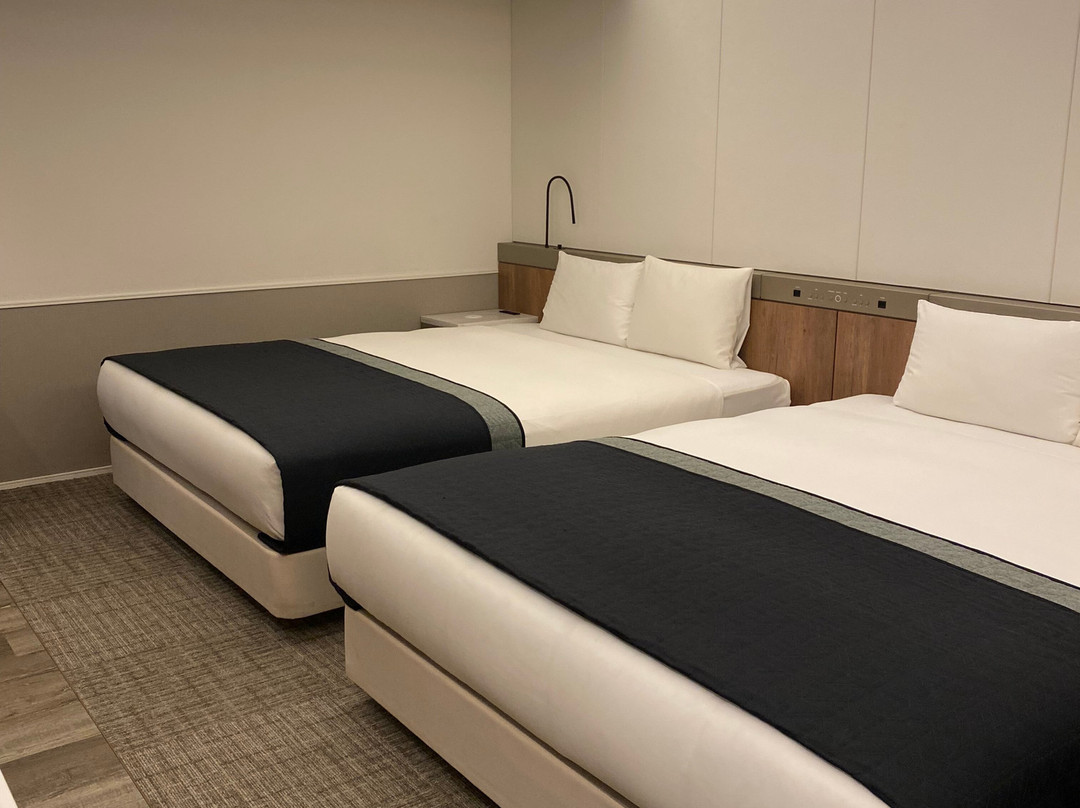 HOTEL THE FLAG Shinsaibashi主图