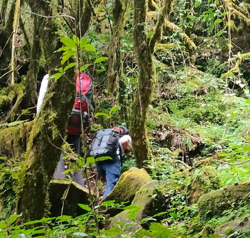 Dzukou Valley-Kohima必去景点
