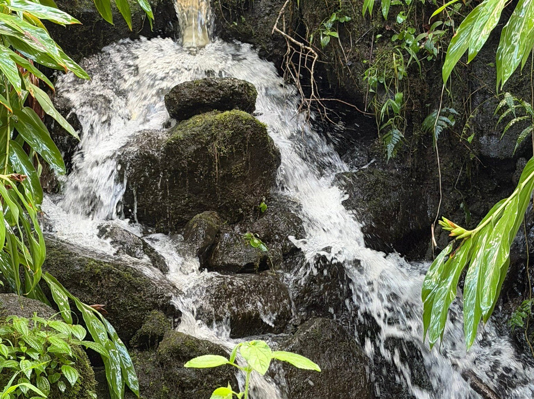 Waimoku Falls-毛伊岛必去景点