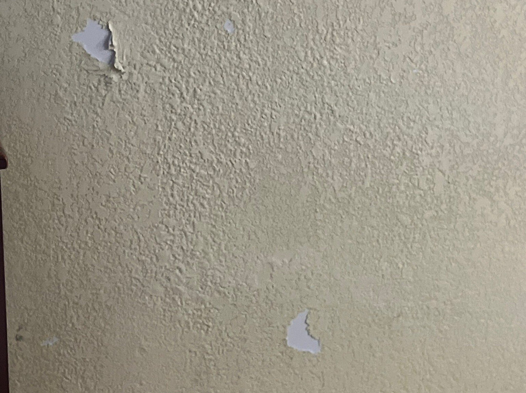 Best Western Plus Richmond Airport Hotel主图