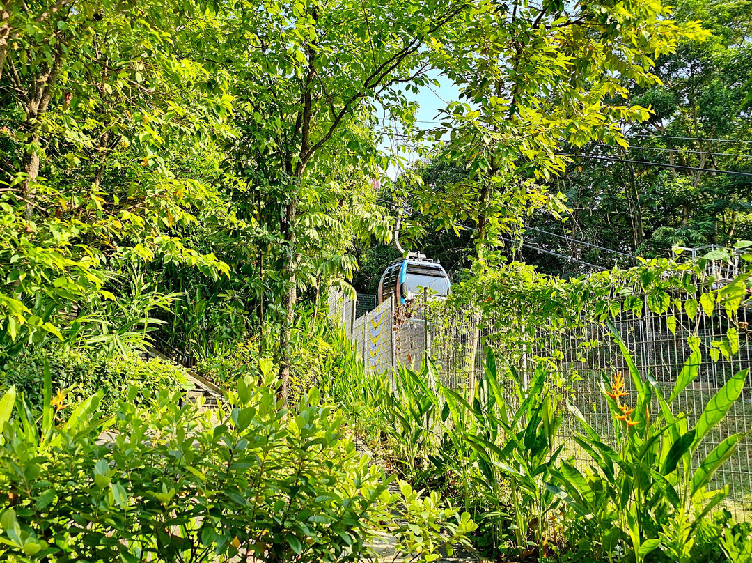 Imbiah Lookout-圣淘沙岛必去景点