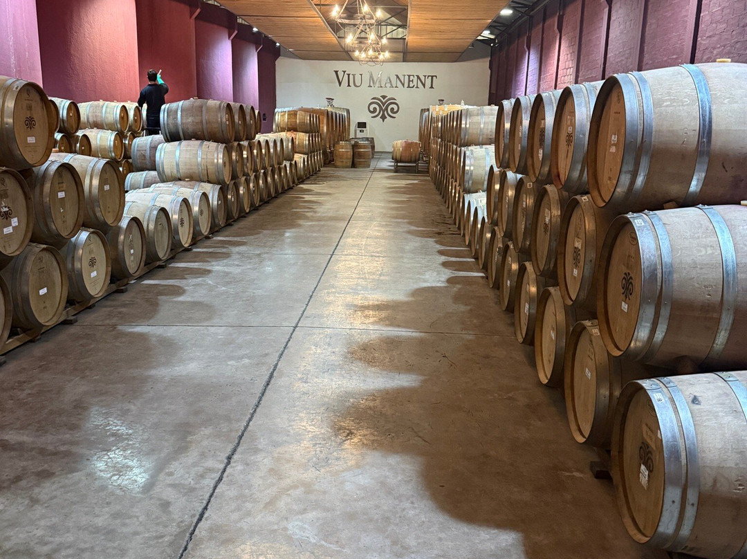 Colchagua Wine Tours-圣克鲁斯必去景点