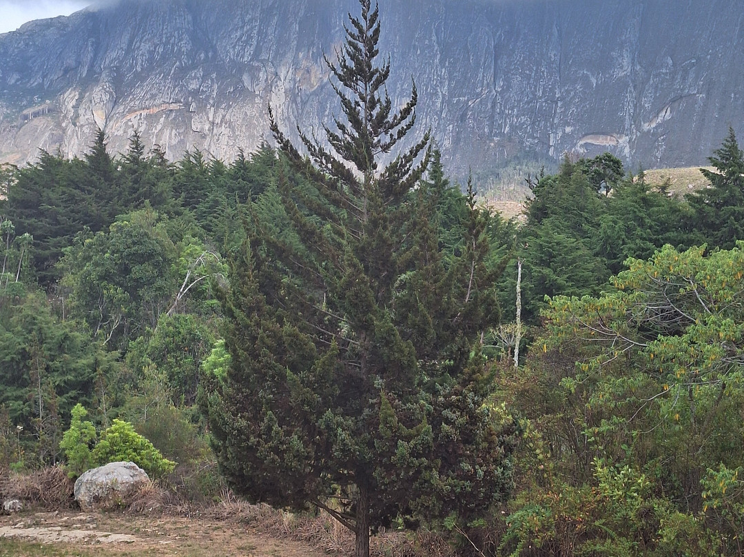 Mulanje Mountain Tour Guide-姆兰杰必去景点