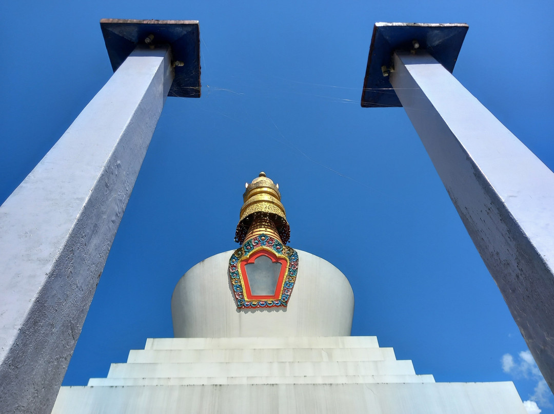 Do Drul Chorten Stupa-甘托克必去景点