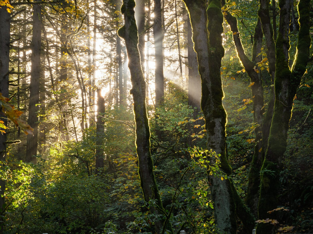 Bridal Veil Falls State Park-Corbett必去景点