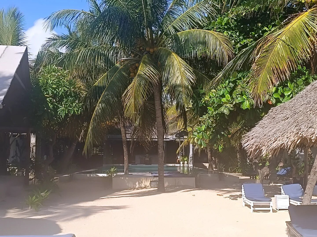 Casa Beach Hotel主图