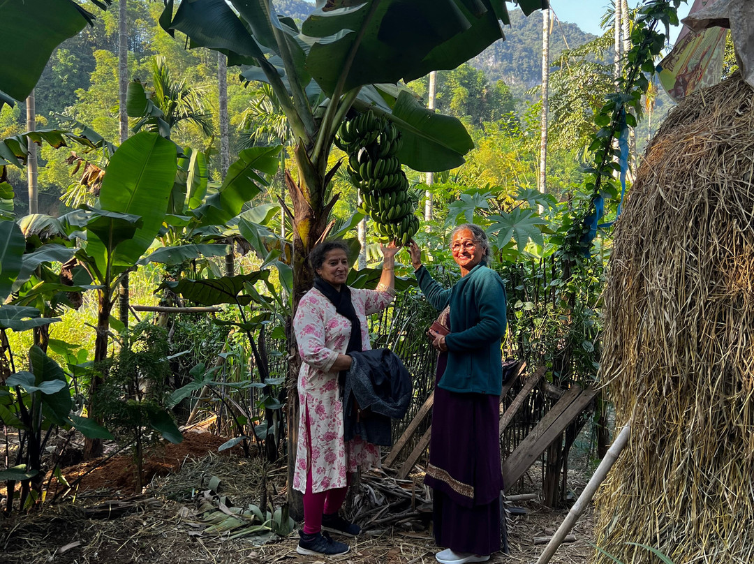 Pu Luong Ancient Stilt House-清化必去景点