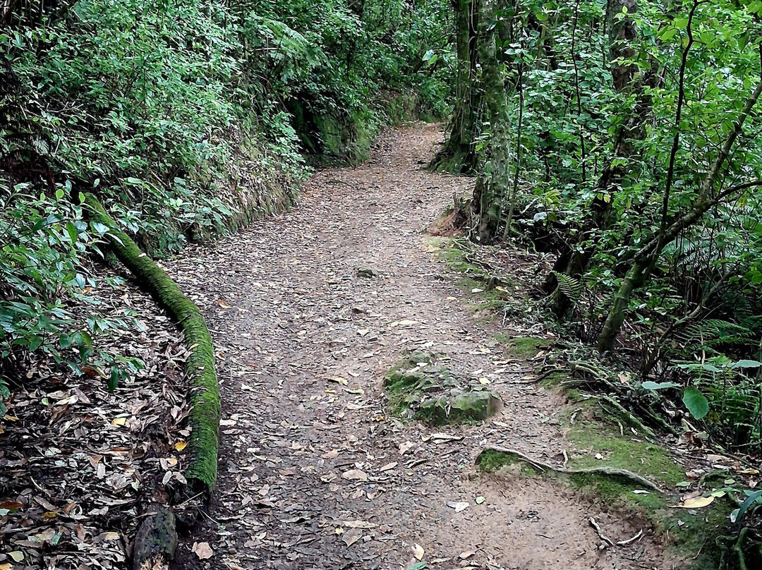 Mount Kaukau-惠灵顿必去景点