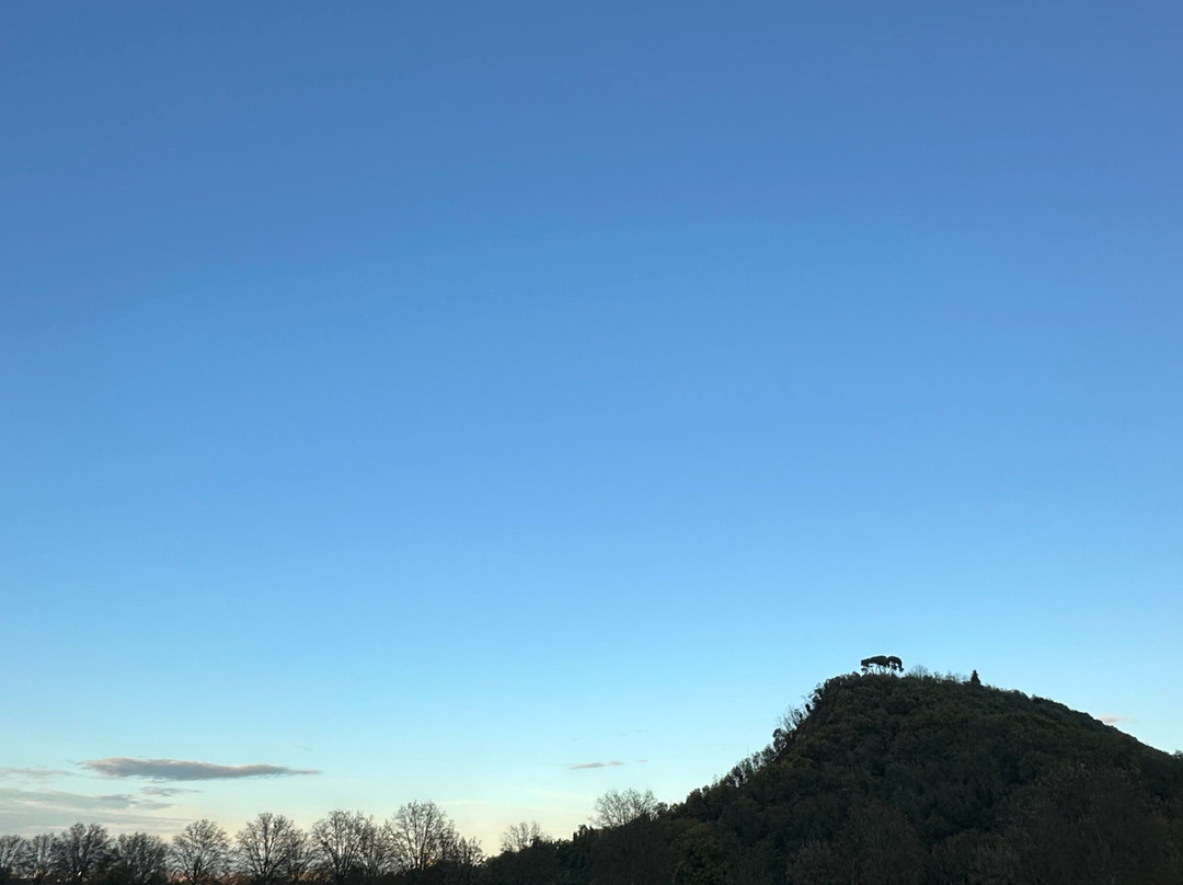 泰尔梅花园酒店主图