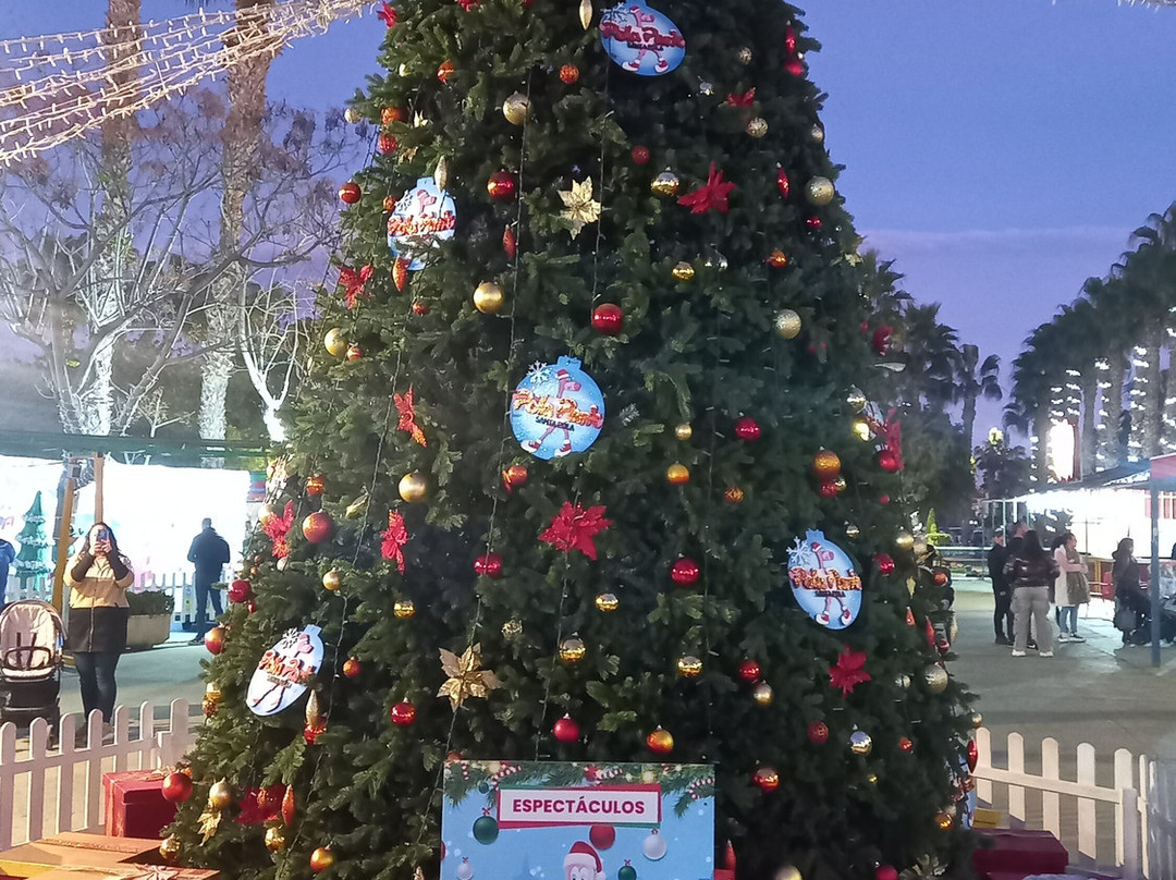 Pola Park-圣波拉必去景点