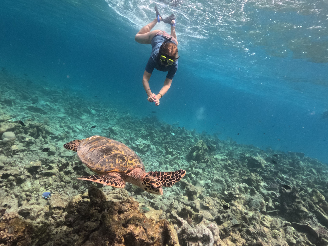 Saipe Maldives-Fulidhoo必去景点