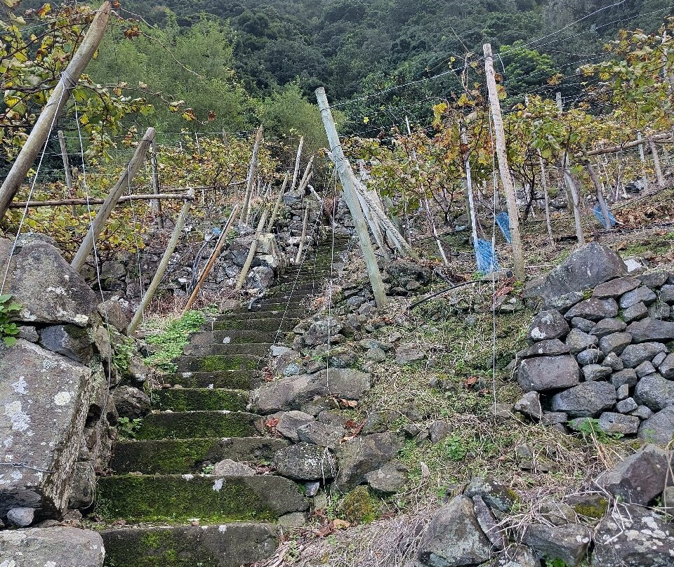 Vinha Do Véu Da Noiva-莫尼什港必去景点