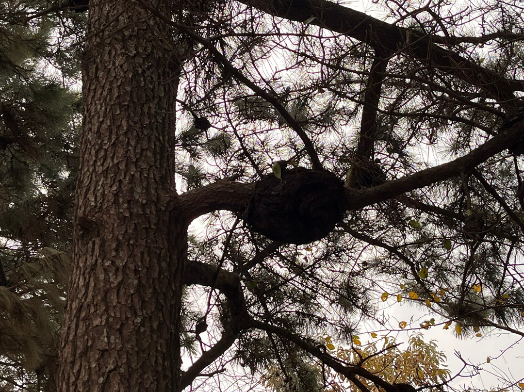 汉拿植物园-济州必去景点