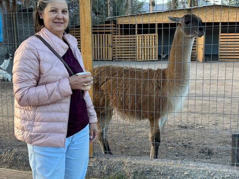 Turismo Chiletour Oficial-圣地亚哥必去景点