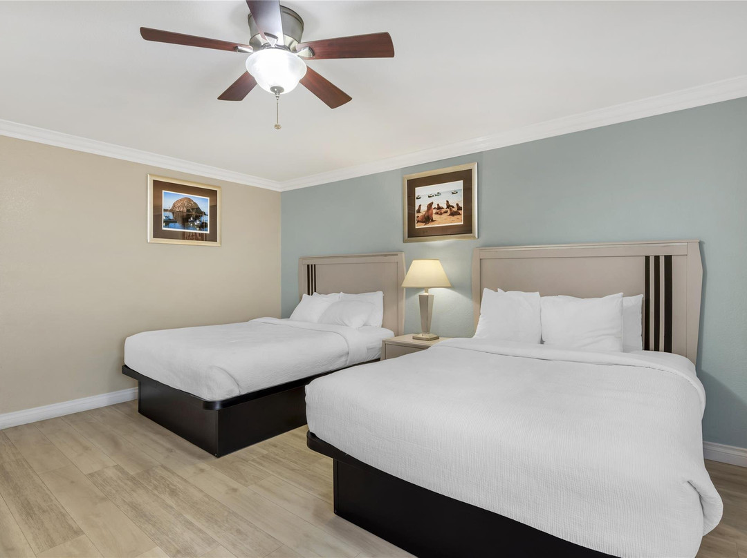 莫罗贝酒店住宿-莫洛湾贸易风贝斯特韦斯特酒店