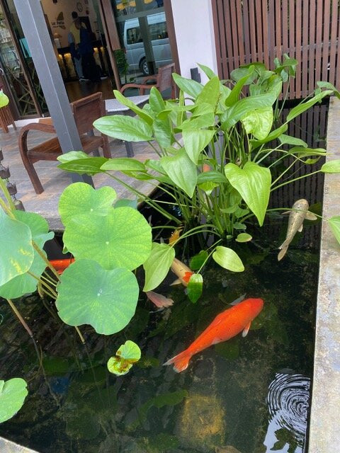 乐帕塔酒店主图