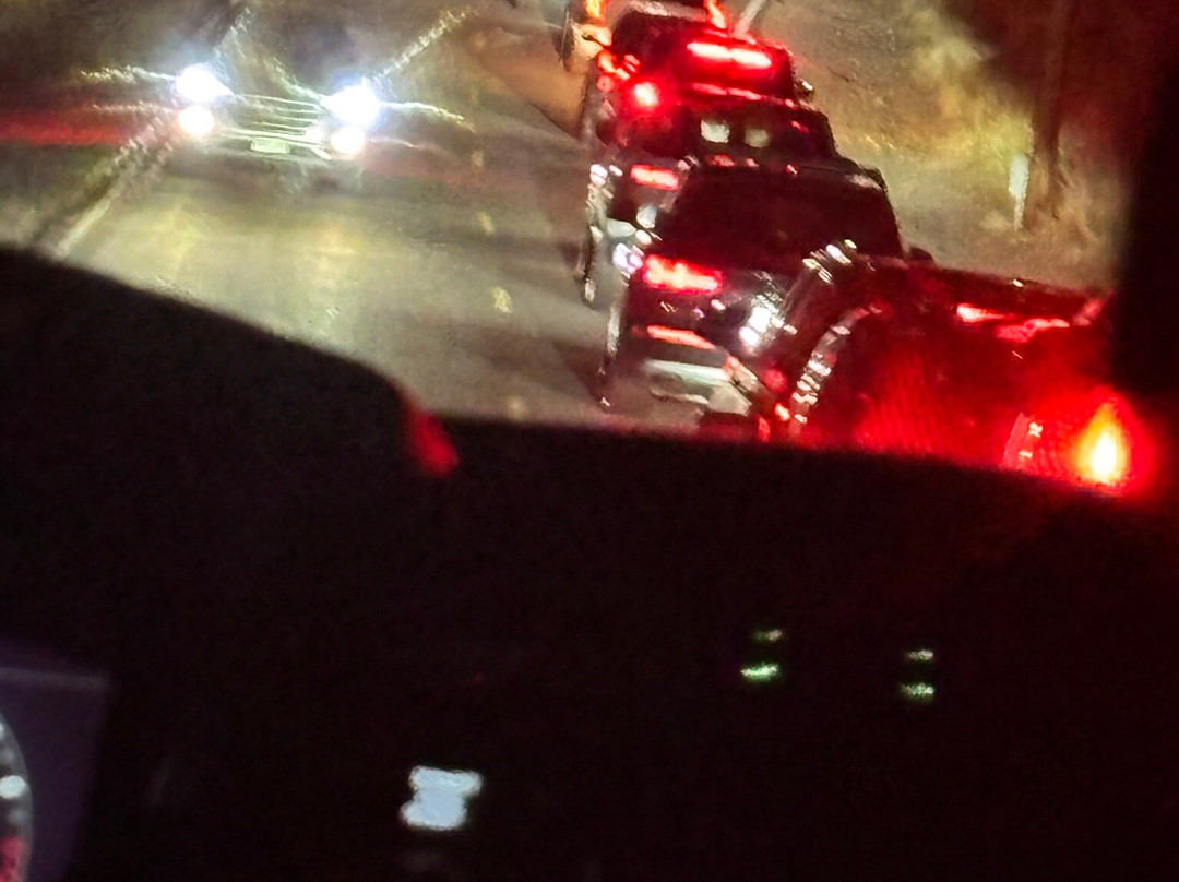 Christmas In Color-Morrison必去景点