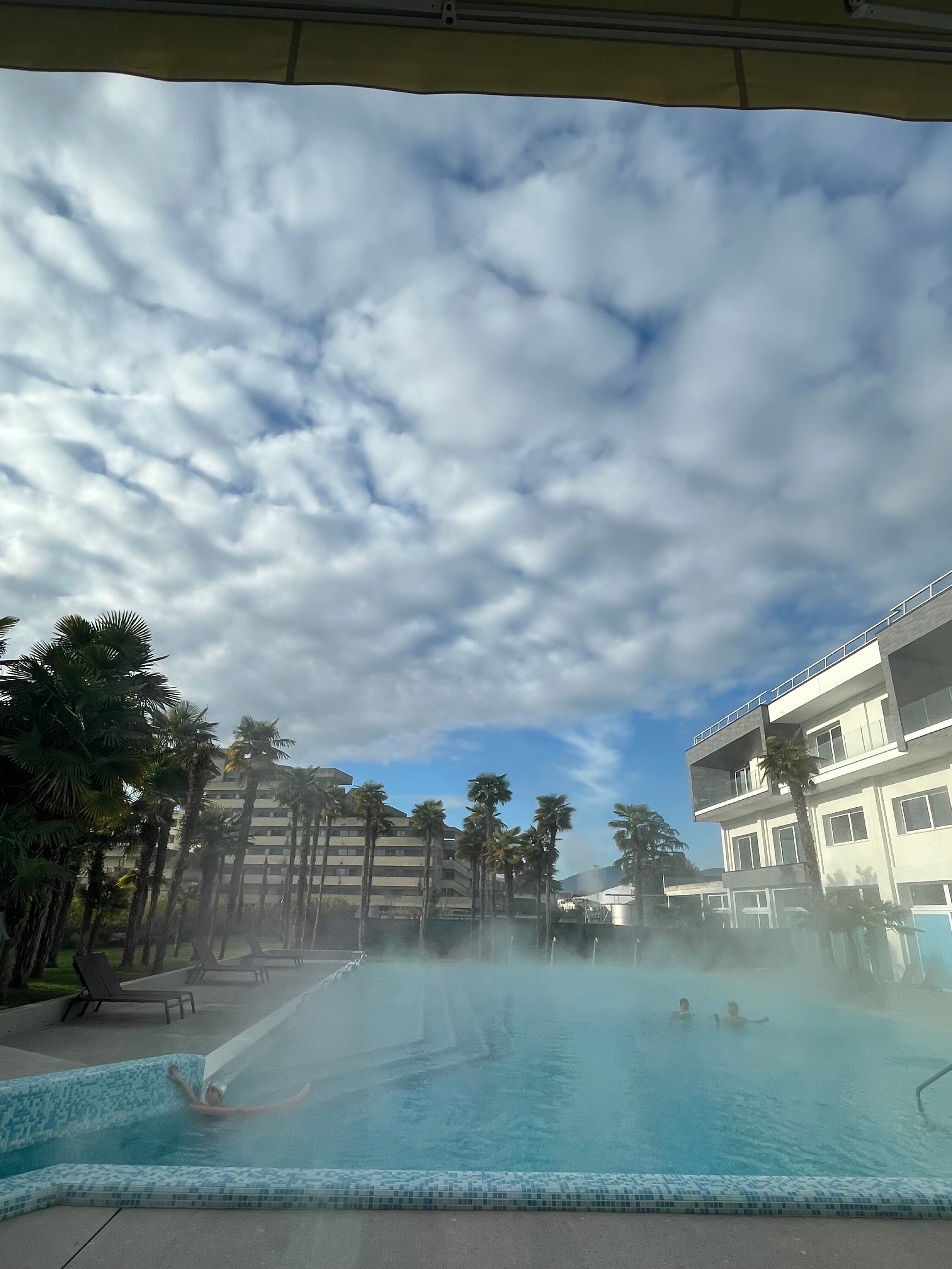 Hotel Terme Venezia-泳池