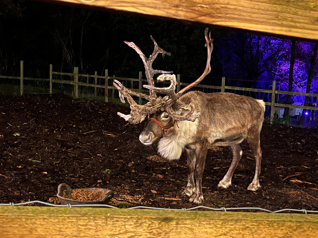 Reindeer Lodge-Leeswood必去景点