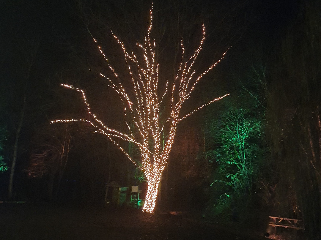 Heritage Wood-阿什伯恩必去景点